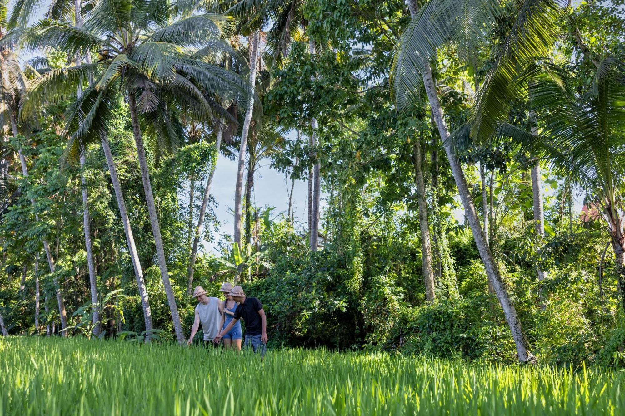 Kanhara Villas Ubud By Pramana Villas Екстер'єр фото